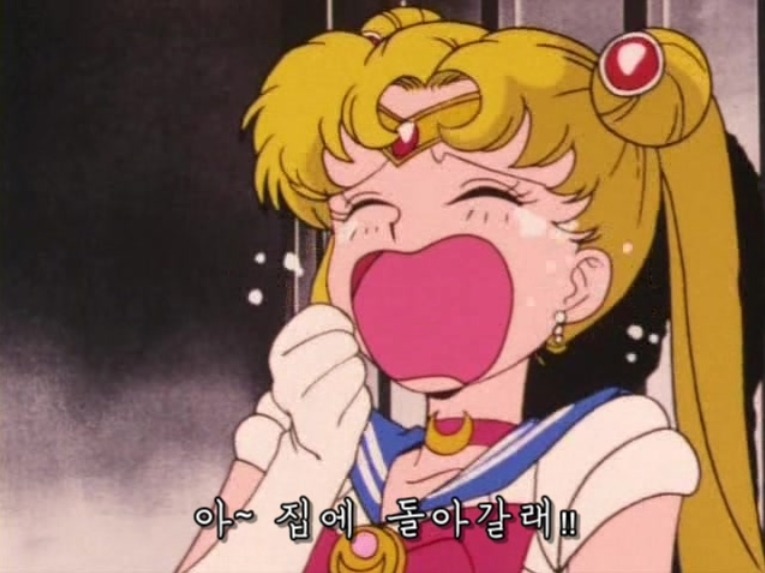 img/5/3/1/0/53105ED54759CE0027