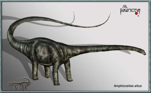 img/5/3/3/F/533F7B9B495D9B0016