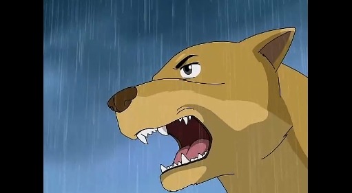 [하얀마음 백구] 국내 최초 인면견!_19.jpg