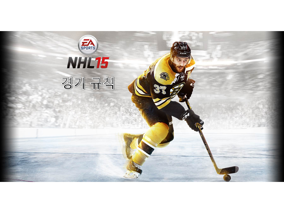 NHL - 경기 규칙 (초보자용)_1.jpg