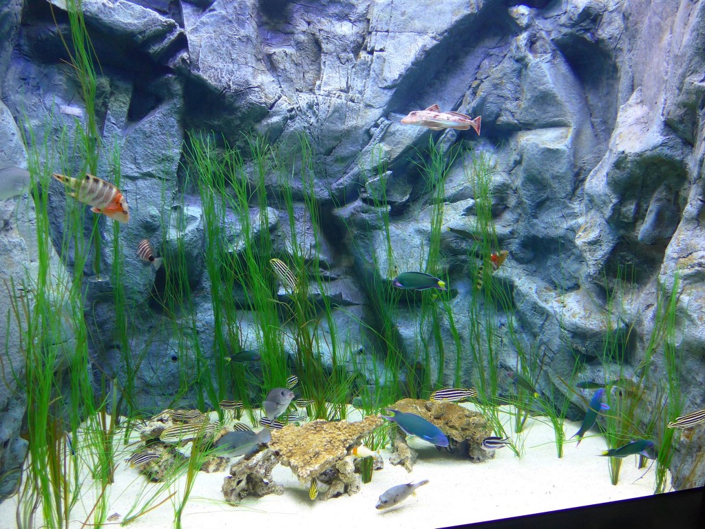 img/5/4/4/3/54437B974246E40029