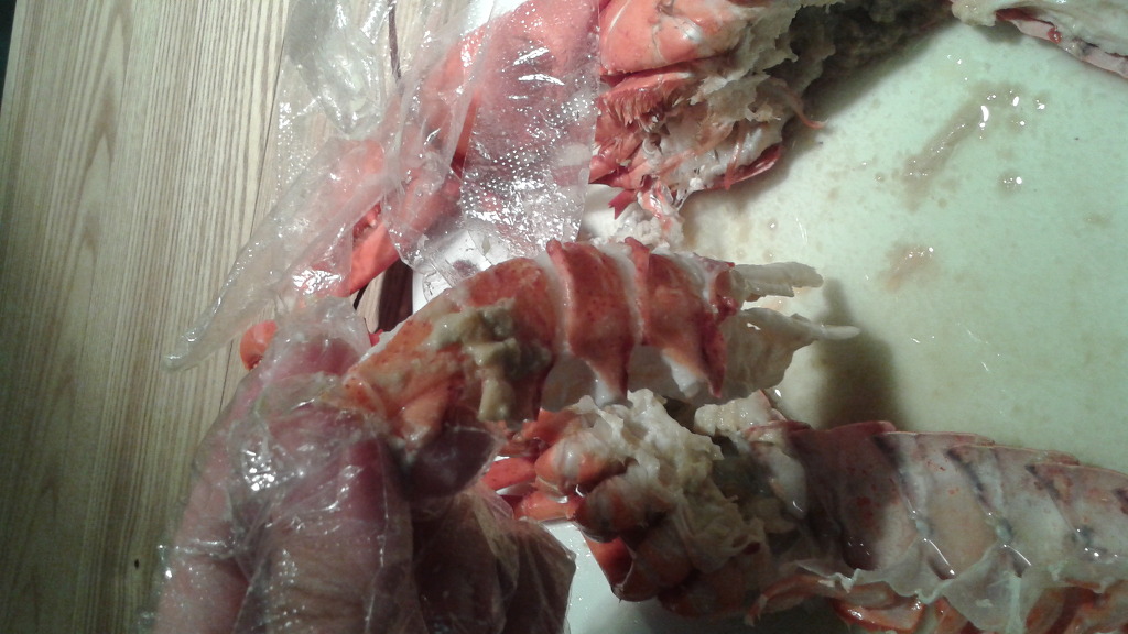 로브스터 뷔페 - 새우는 쇠퇴하였습니다_10.jpg