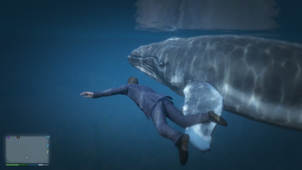 GTA5 고래를 보았다 ㄷㄷㄷㄷㄷㄷㄷ_10.jpg