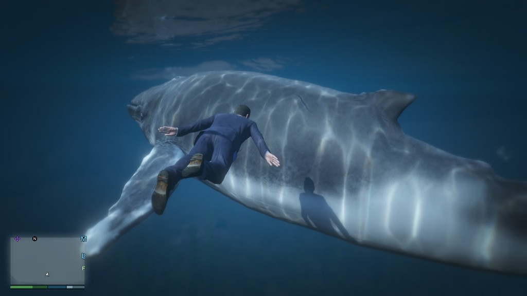 GTA5 고래를 보았다 ㄷㄷㄷㄷㄷㄷㄷ_11.jpg