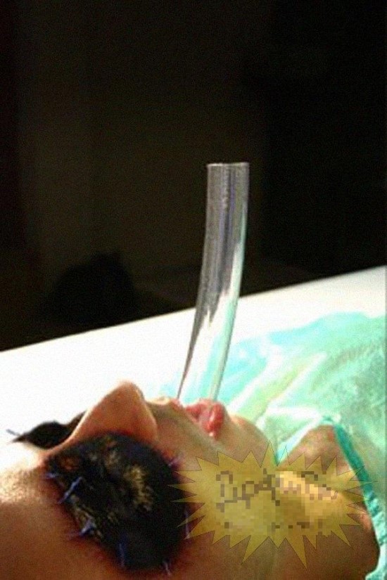 img/5/4/8/C/548C325C4935E10015