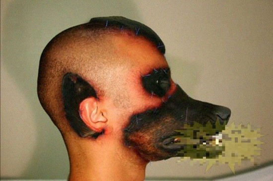 img/5/4/8/C/548C327B4C2AEE0028