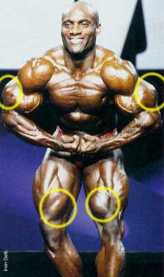 img/5/4/9/9/54993D264A1C4B0035