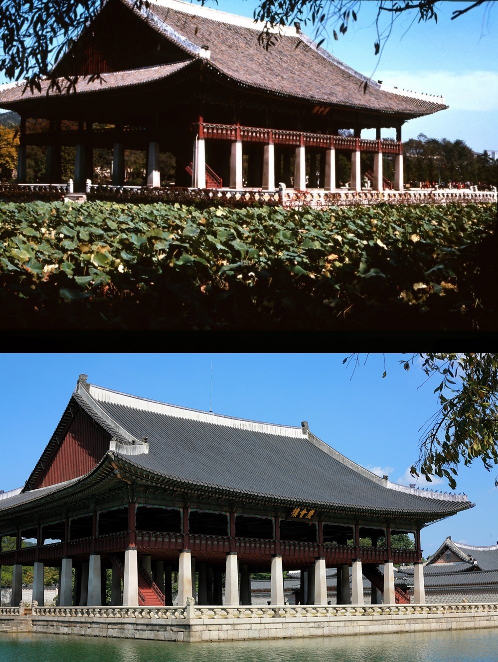 1960년대 한국 ~현재_1.jpg