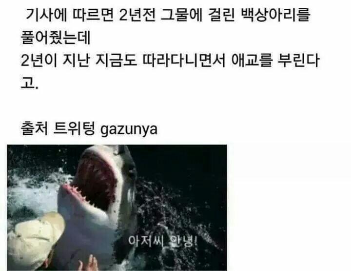 은혜를 원수로 갚는 동물.jpg_1.jpg