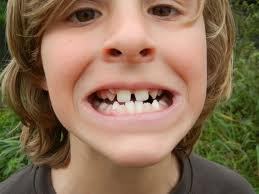 img/5/4/A/8/54A8F66D4539F60026