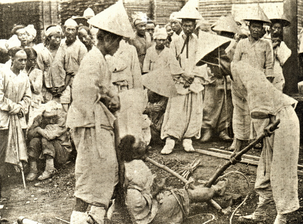 img/5/4/B/8/54B87A374040860025