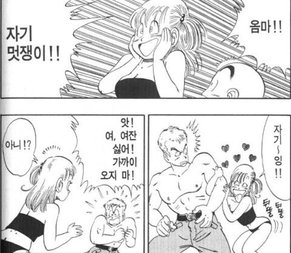 드래곤볼 색기담당..이였던 부르마.jpg_2.jpg