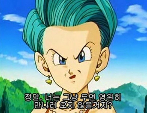 드래곤볼 색기담당..이였던 부르마.jpg_21.jpg