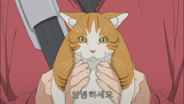 img/5/5/0/3/5503829F3F56520008