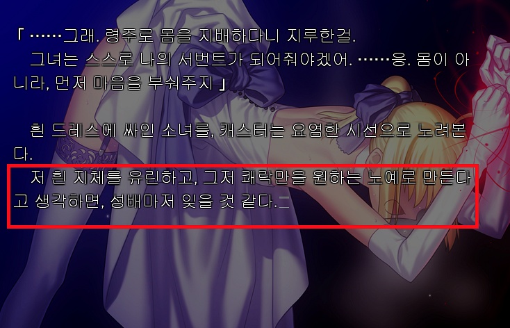 페이트 스테이 나이트 페이트 루트 클리어 네이버 블로그