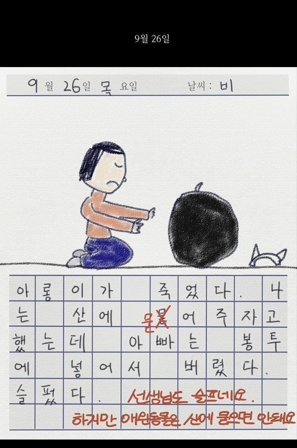 img/5/5/4/A/554A0D204645D80039