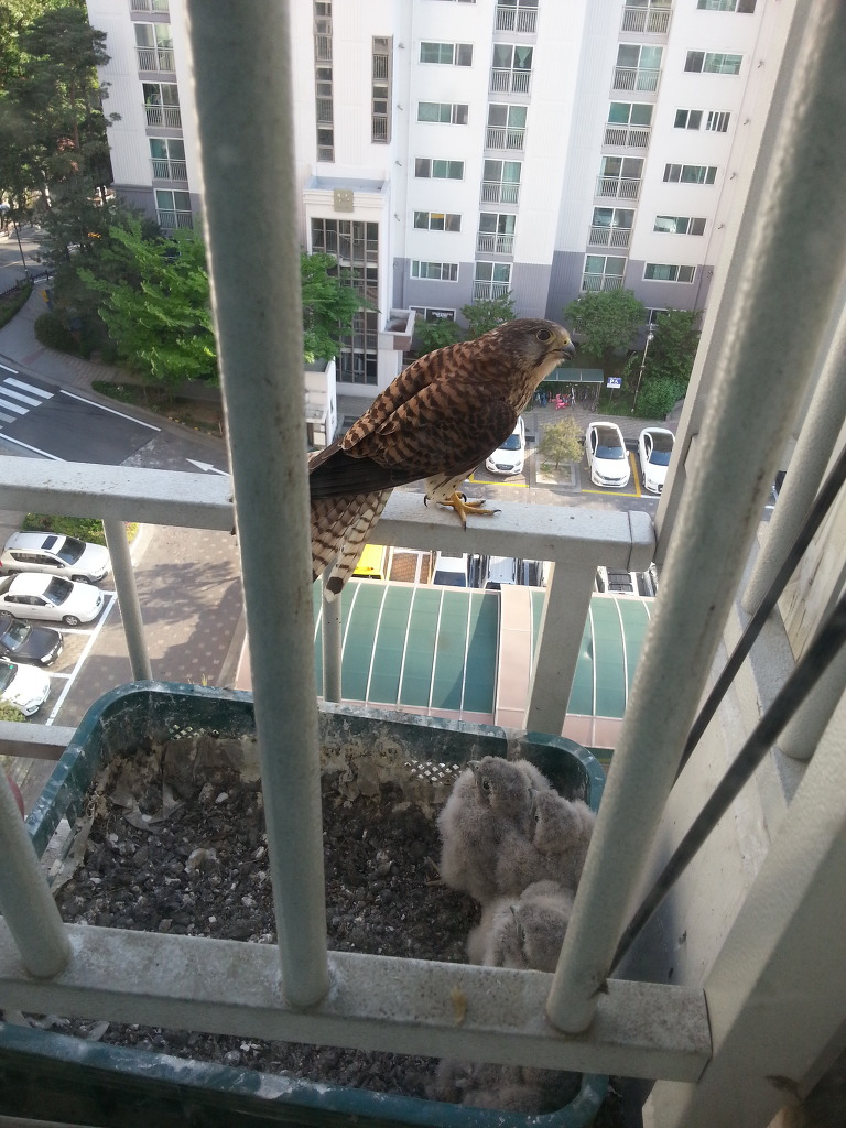 img/5/5/7/E/557E34FC3E6EEB0006