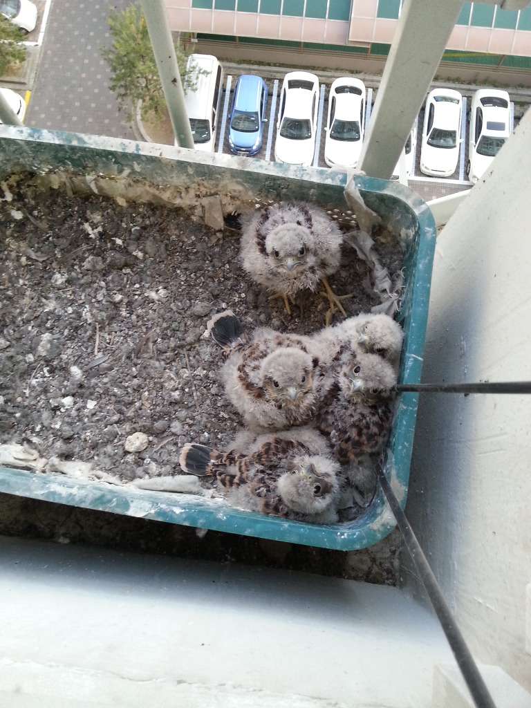 img/5/5/7/E/557E37573C48300005