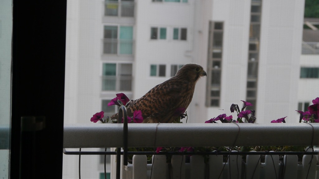 img/5/5/7/E/557E3D213B28ED0029