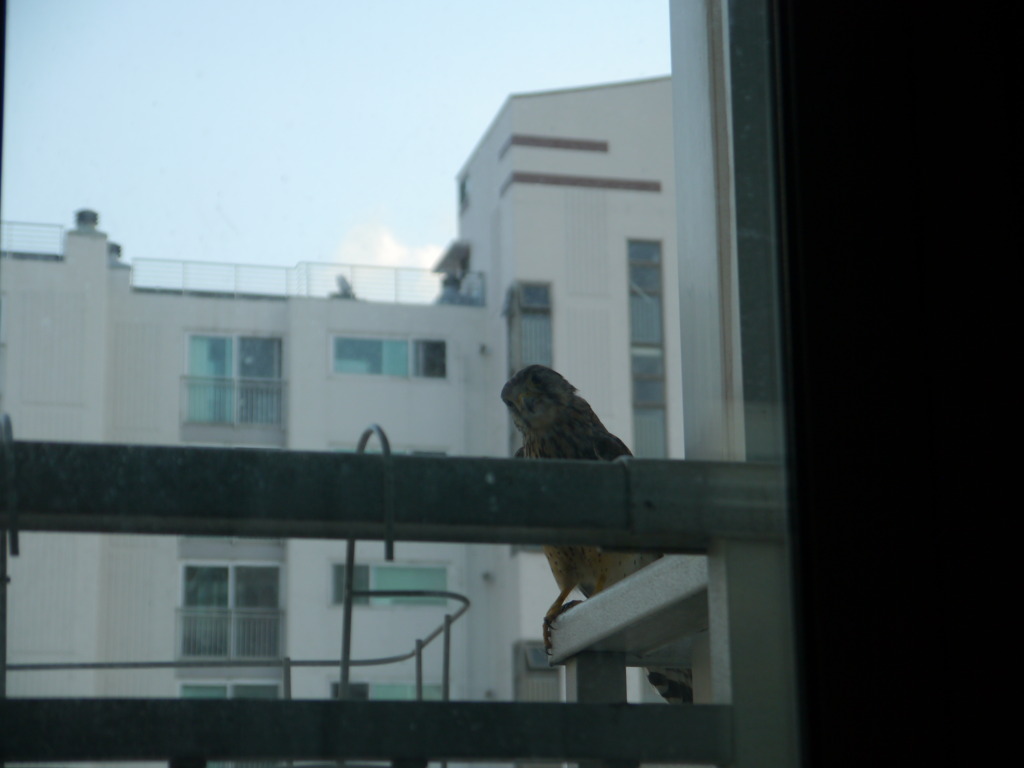 img/5/5/7/E/557E40413E56330006