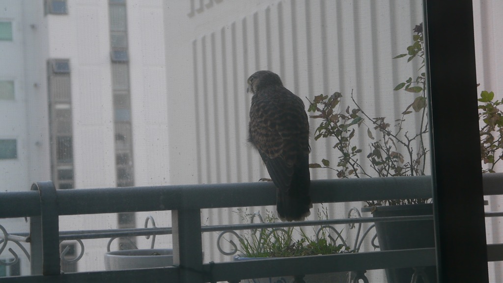 img/5/5/7/E/557E40B1441E810008