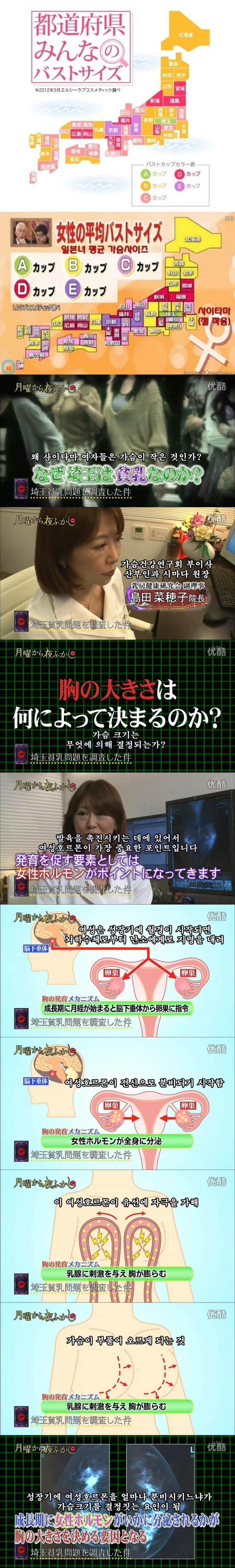 (스압) 여자 가슴크기를 결정하는 중요한 요인.jpg_1.jpg