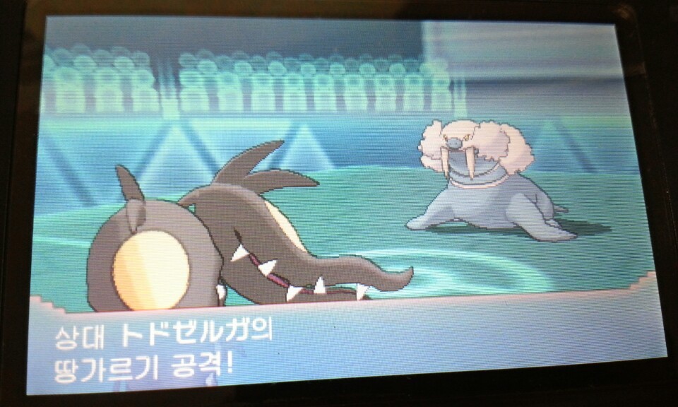씨카이저 특성이 노가드였나요?_7.jpg