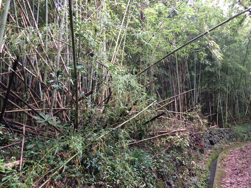  [스압] 유우키 유우나는 용사다 성지순례 겸 일본여행 #2_19.jpg