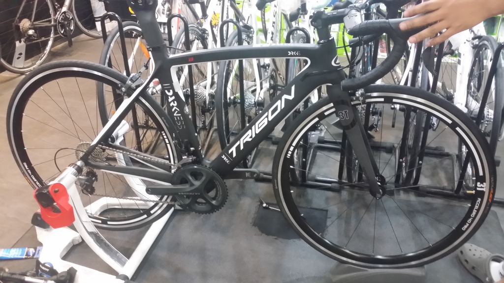자전거 갤러리 트리곤
