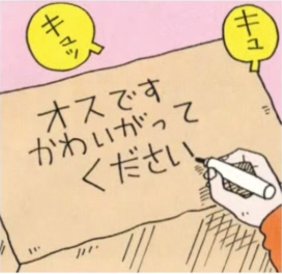 "짱구는 못말려 흰둥이 원래 주인".jpg_5.jpg