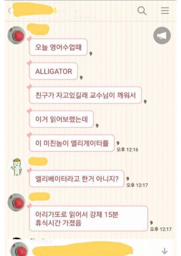 앨리게이터 (Alligator)를 잘못 읽은 친구_1.jpg