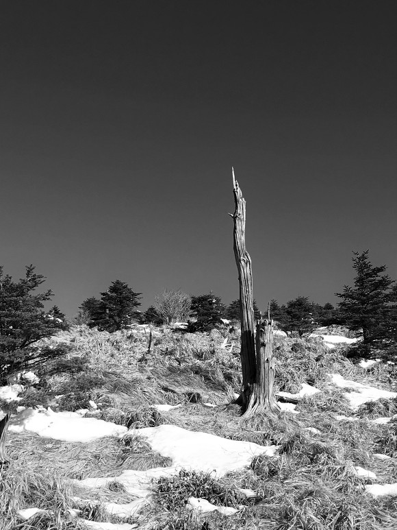 지리산 둘레길과 천왕봉_14.jpg