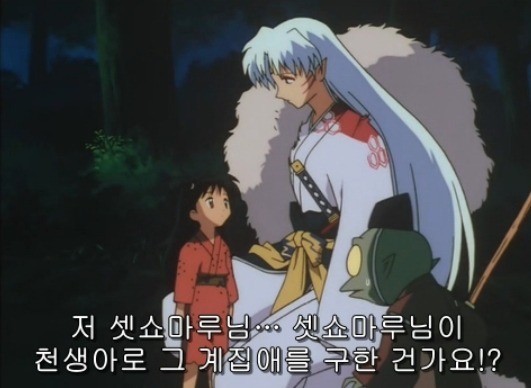 [이누야샤] 셋쇼마루의 기술들 (BGM)_31.jpg