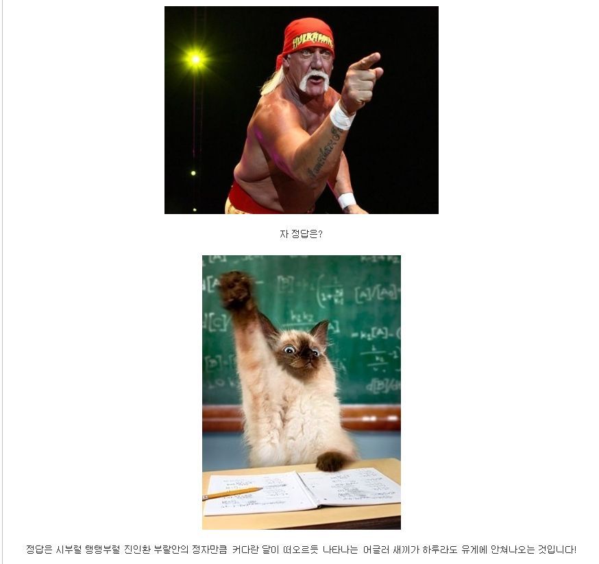 전설의 유게를 파괴시킬 괴도자지의 필력. jpg_4.jpg