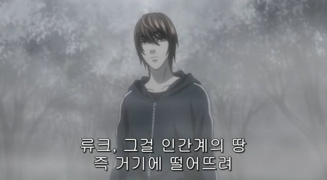 [데스노트] 이겼다.......계획대로!!!!_30.jpg