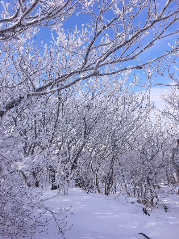 폭설뒤에 무등산 산행기_2.jpg