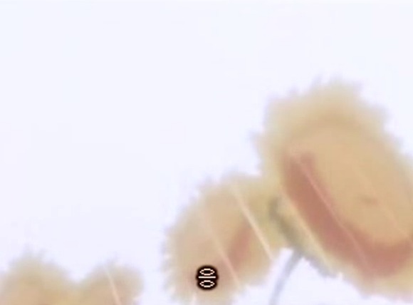 img/5/6/D/3/56D3E23A4A23C10026