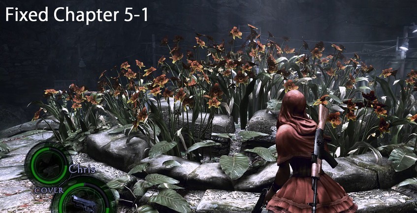 바하5 현재까지 유저패치로 수정된 스팀버전 버그들_4.jpg