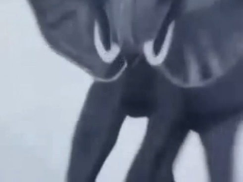 [잭커 전격대] 아프리카 코끼리를 발사해라!_10.jpg