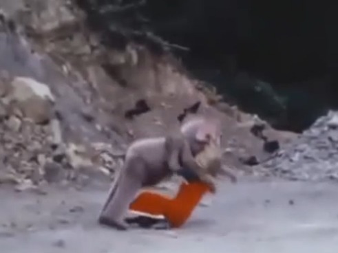 [잭커 전격대] 아프리카 코끼리를 발사해라!_13.jpg