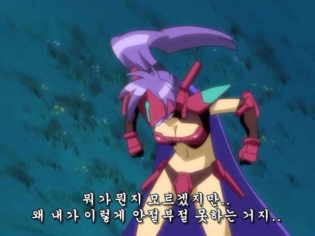 정들면 고향 코스모스장 bgm 여동생과 오빠사이 하
