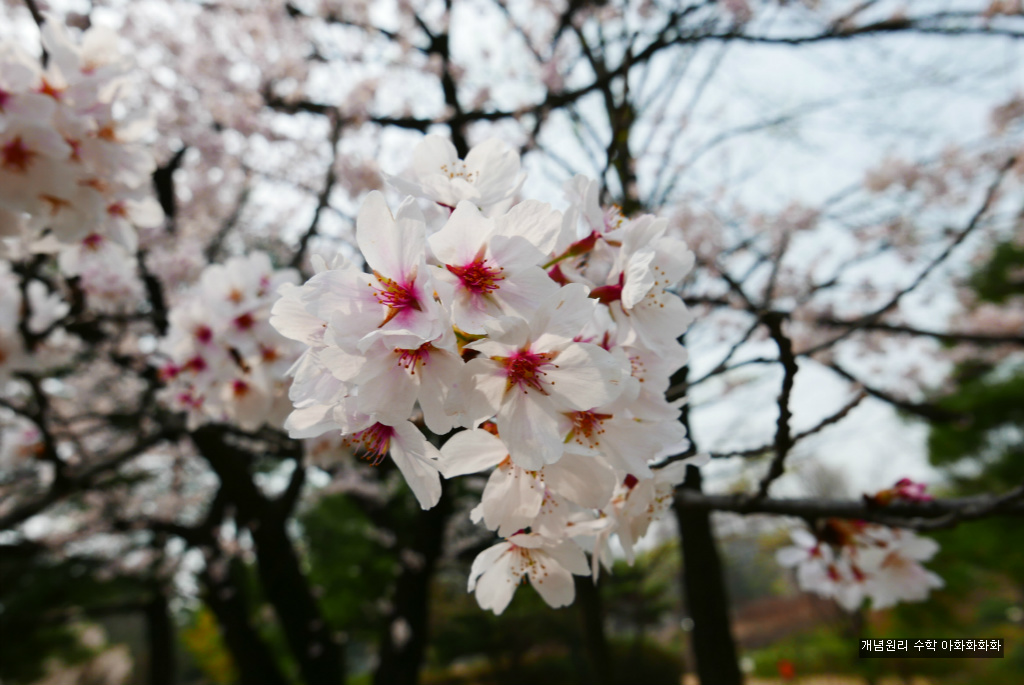 img/5/7/0/B/570BAE885047CA0029