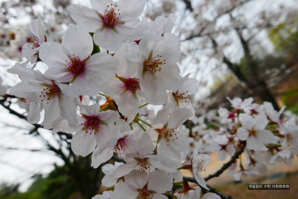 img/5/7/0/B/570BAEFD4E7A3E0017