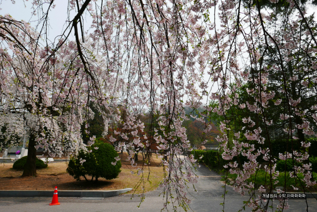 img/5/7/0/B/570BAFA54D2BAF0015