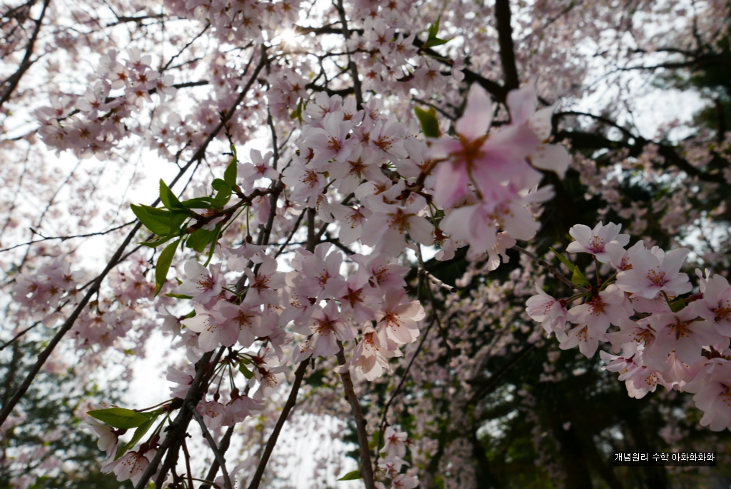 img/5/7/0/B/570BB1964B53820026