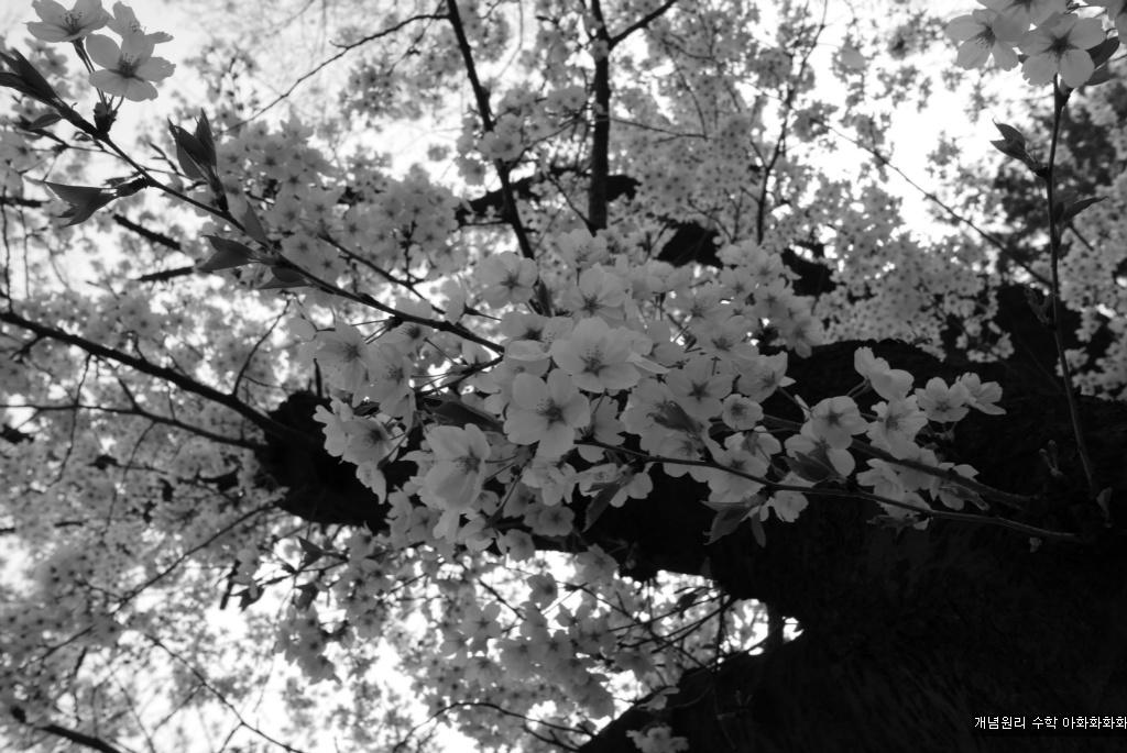 img/5/7/0/B/570BB23F4920360015