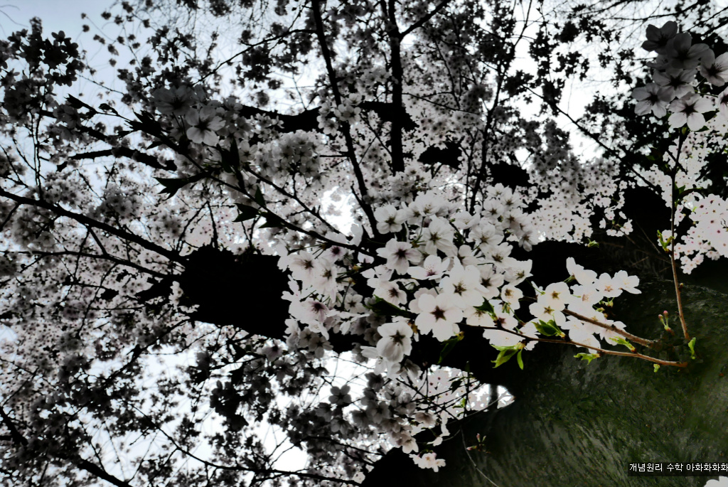 img/5/7/0/B/570BB242491F400015