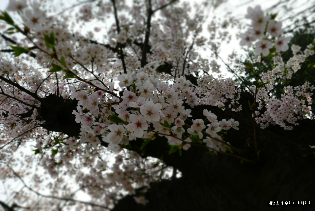 img/5/7/0/B/570BB3224901360036