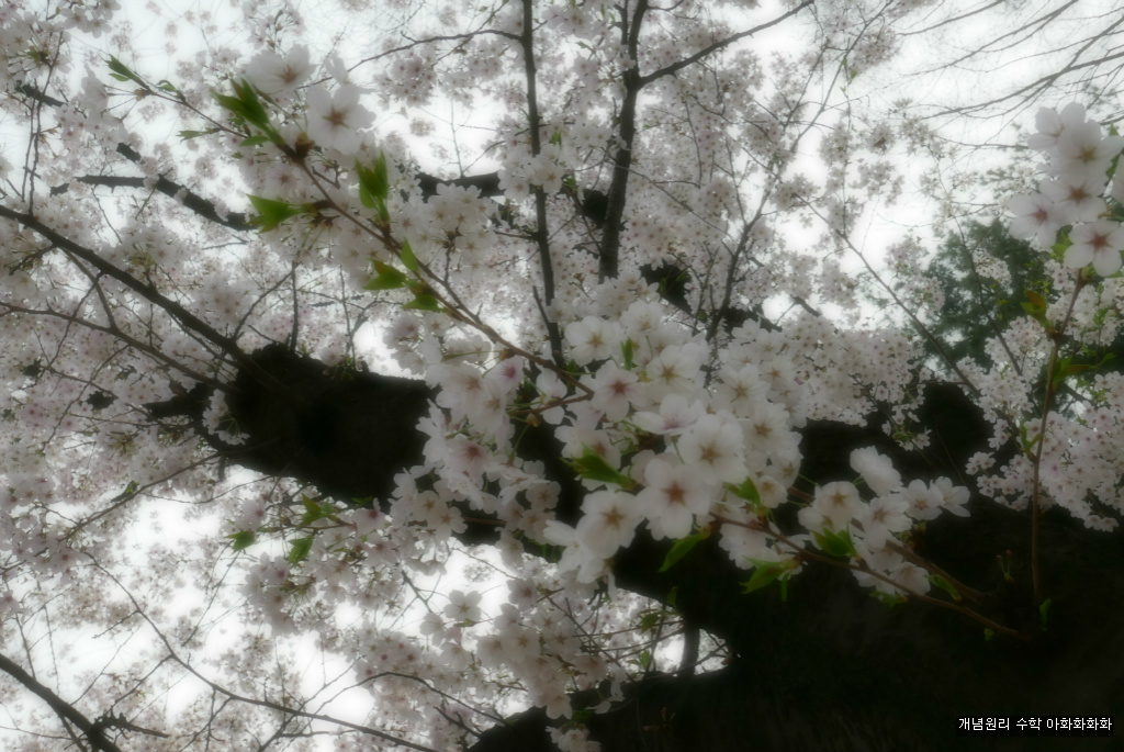 img/5/7/0/B/570BB3254932DC0006