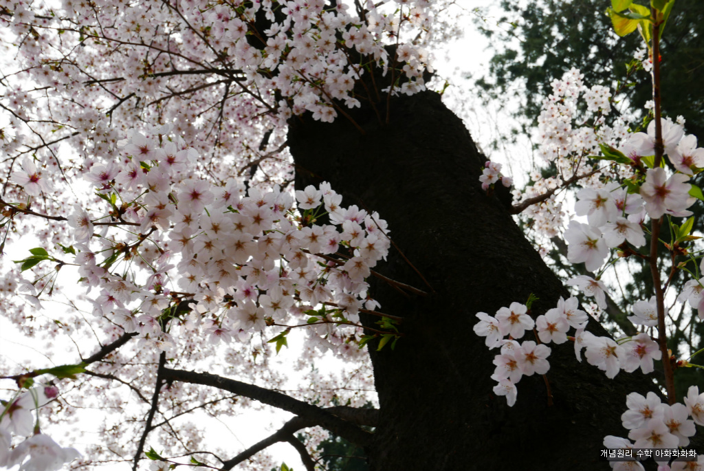 img/5/7/0/B/570BB32A497F410036